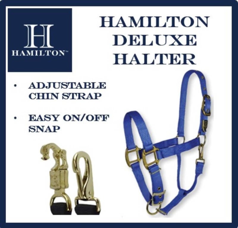 Hamilton Deluxe Horse Halter, 1" Triple Ply Nylon, Adjustable Chin Strap, Easy On/Off Throat Snap, Large Horse or 2 Year Old Draft, 1100-1600 lbs, Wine - Image 5